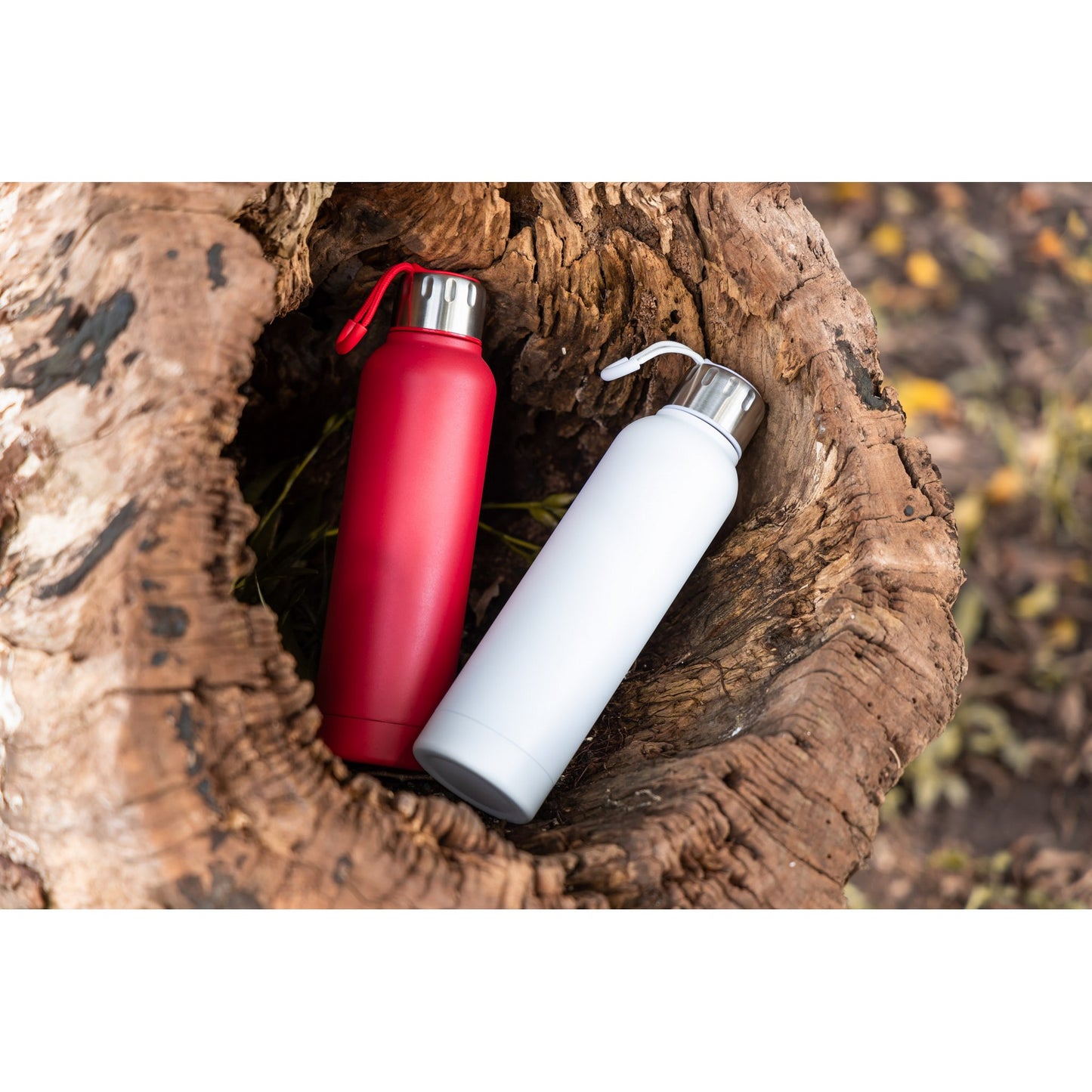 22 Oz Stainless Steel Water Bottle