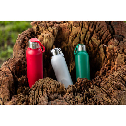 22 Oz Stainless Steel Water Bottle