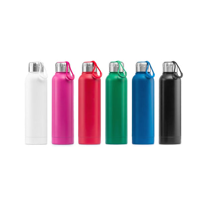 22 Oz Stainless Steel Water Bottle