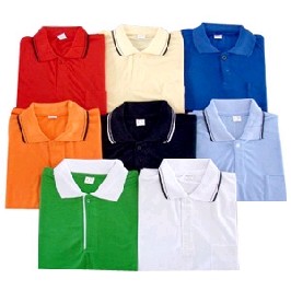 100% Polyester Polo Shirt (160 Gsm)