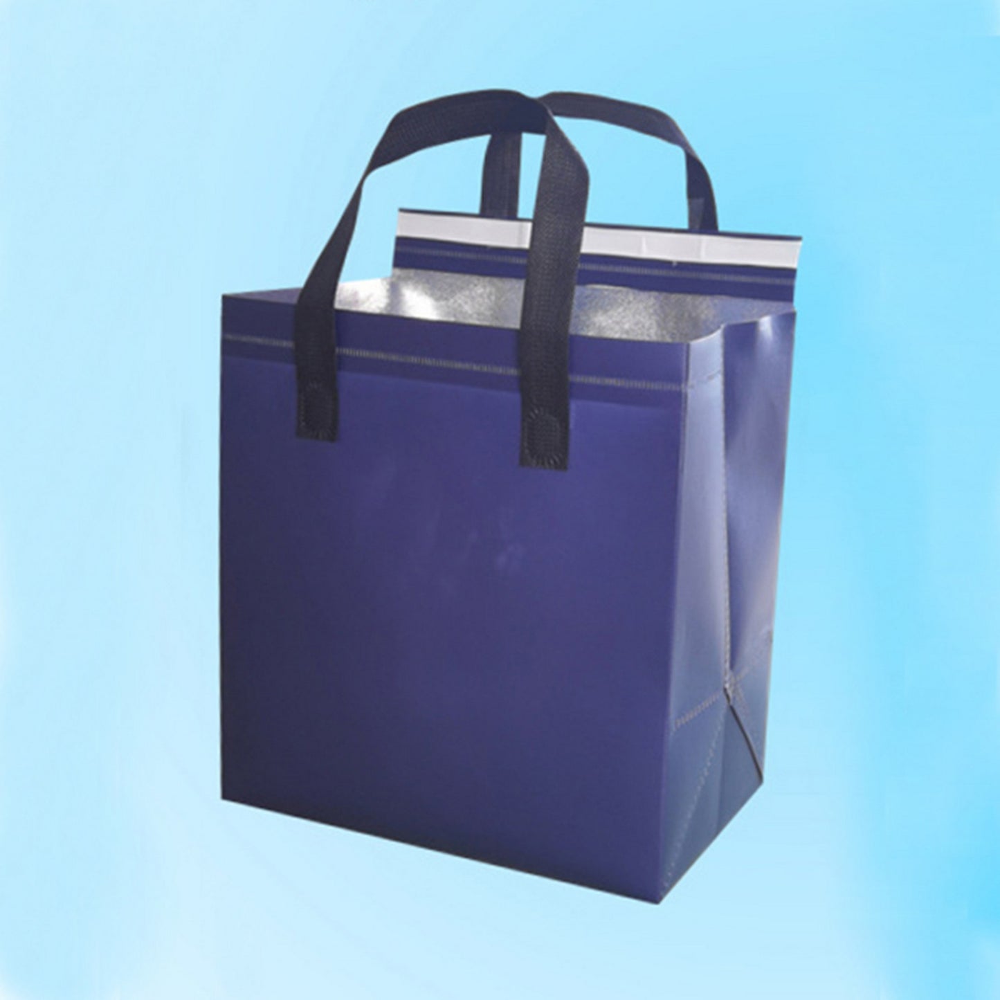 Insulated Thermal Lunch Bag/110-120 GMS Cooler Bag