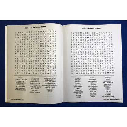 LARGE PRINT Word Search Puzzle Book - Volume 1