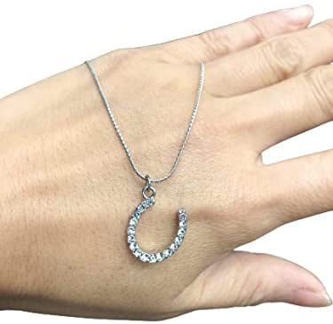 Silver 16" Rhinestone Horse Shoe Pendant Everyday Casual Necklace For Women, 1-Size, Lobster Claw Closure