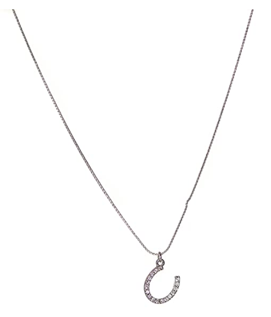 Silver 16" Rhinestone Horse Shoe Pendant Everyday Casual Necklace For Women, 1-Size, Lobster Claw Closure