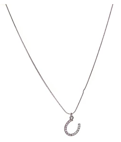 Silver 16" Rhinestone Horse Shoe Pendant Everyday Casual Necklace For Women, 1-Size, Lobster Claw Closure